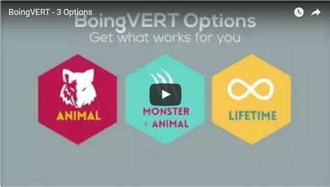 boingvert review